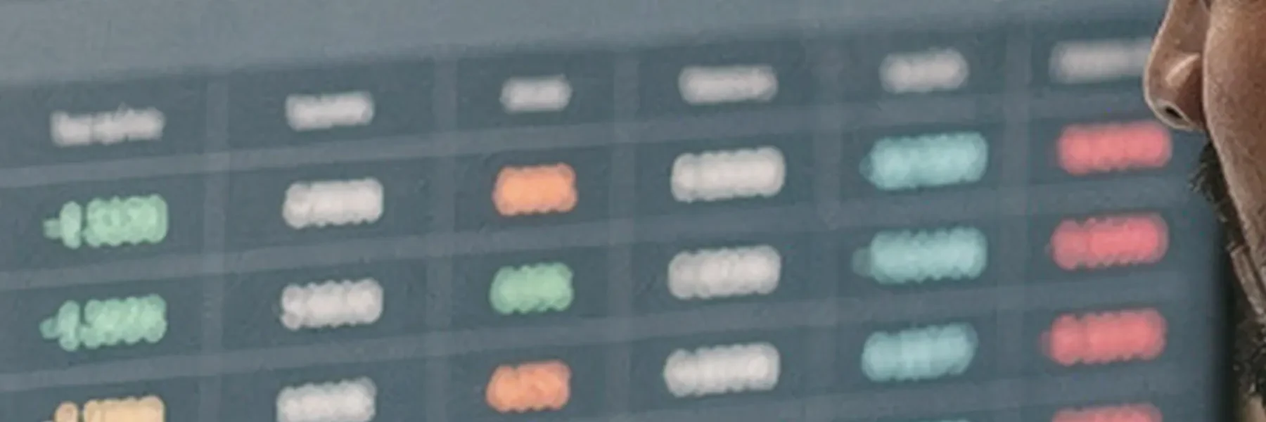 E-handlare arbetar med ekonomisystem på flera skärmar